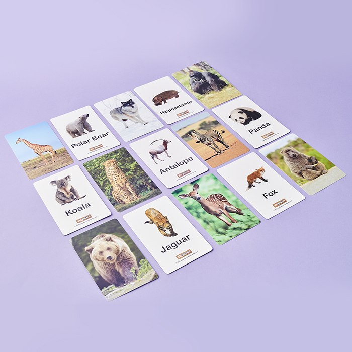 Wild animals flash cards - 20 cards image