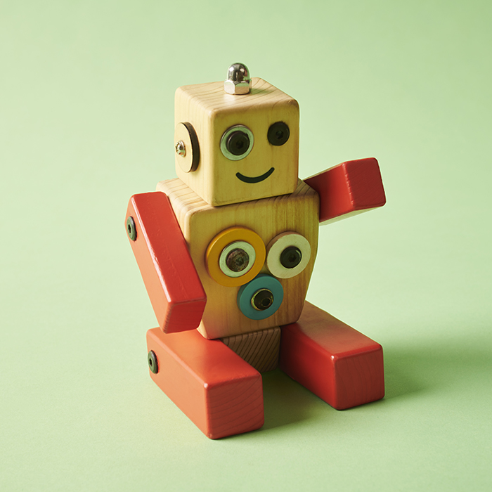Robo Toy image