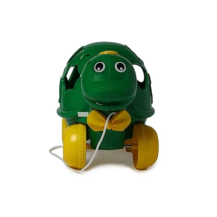 NE TZ PULL ALONG TURTLE WT SHAPE SORTER