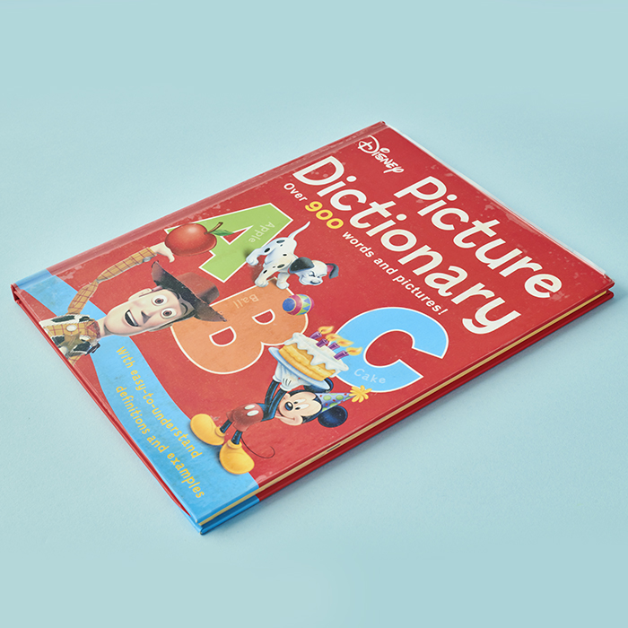 Disney Picture Dictionary image