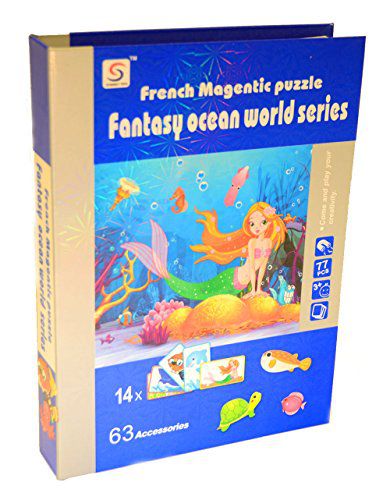 French Magnetic Puzzle image