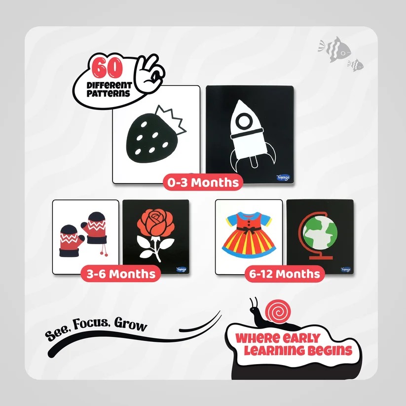 High Contrast Flashcards - Rent Educational Toy