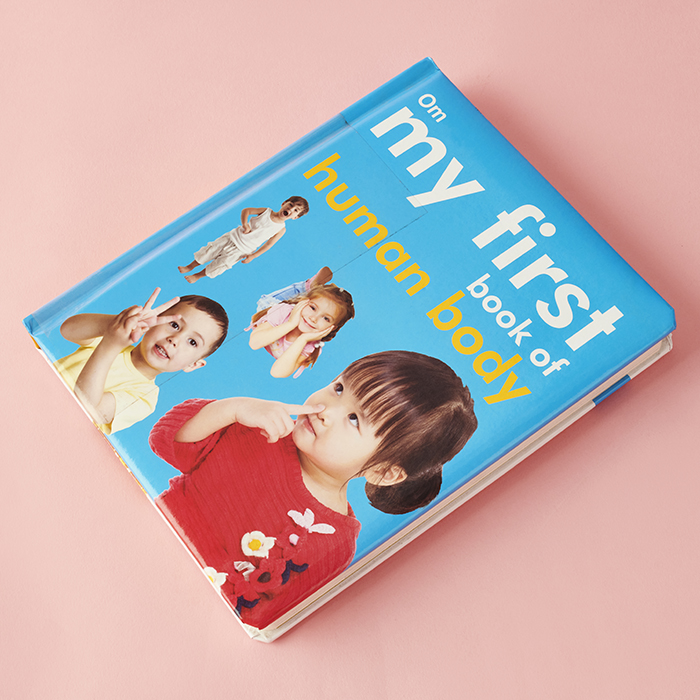 MY FIRST BOOK OF THE HUMAN BODY (PADDED BOARD BOOK) image