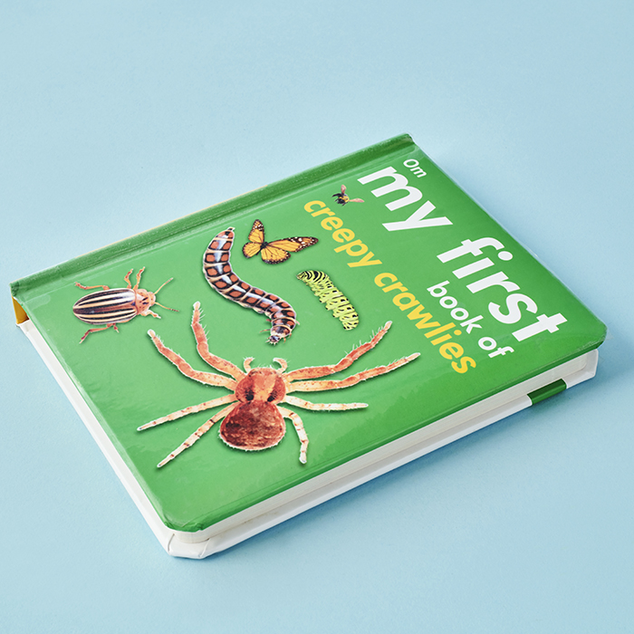 My First Book of Creepy Crawlies